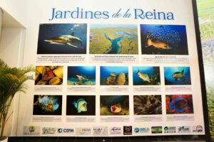 Luz y Fuerza inaugura exposición sobre turismo marino sostenible en el Caribe - RDE Digital